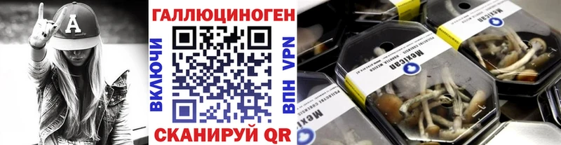 наркошоп  Волгореченск  Галлюциногенные грибы Cubensis 